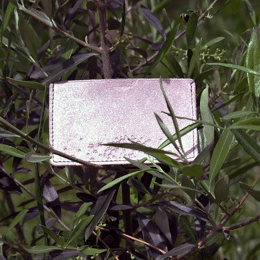 Étui Simple à Cartes