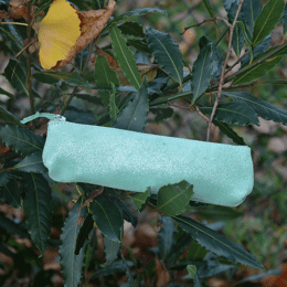 Mini Trousse à Stylos