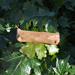 Mini Trousse à Stylos