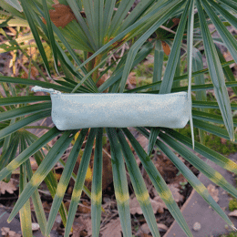 Mini Trousse à Stylos