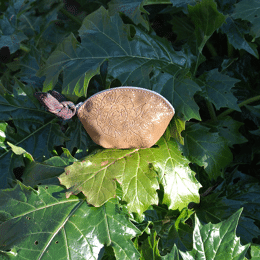 Mini Trousse Pivoine