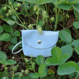 Mini Porte-Monnaie Andromède