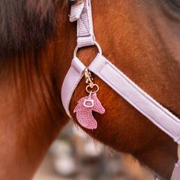 Bijou de Licol