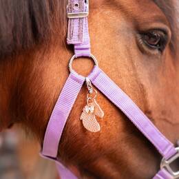 Bijou de Licol