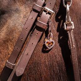 Bijou de bridon