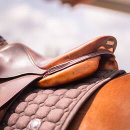 Bijou de selle