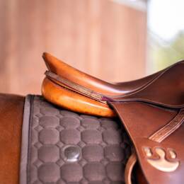 Bijou de selle