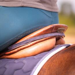 Bijou de selle