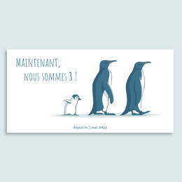 Faire-part Famille Manchots (H)