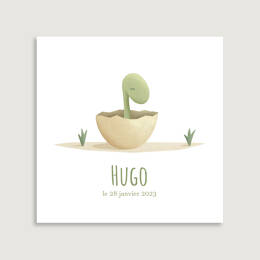 Faire-part Bébé Diplodocus