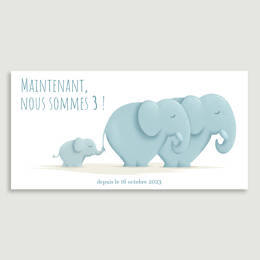 Faire-part Famille Éléphants