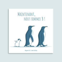 Faire-part Famille Manchots (C)
