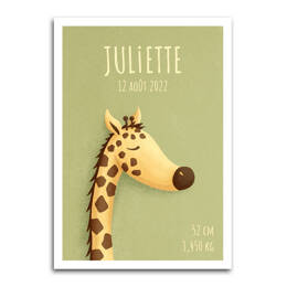 Affiche Tête Girafe - Fond Couleur