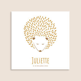 Faire-part Hérisson Blotti