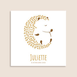 Faire-part Hérisson en Boule