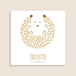 Faire-part Hérisson Couché