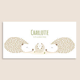 Faire-part Famille Hérissons