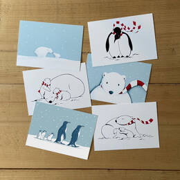 Coffret Cartes Postales
