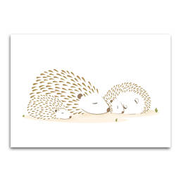 Affiche Hérissons