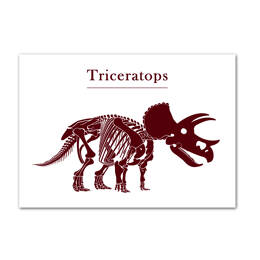 Affiche Triceratops