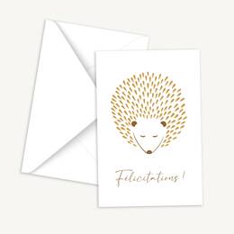Cartes de félicitations - Hérisson Blotti
