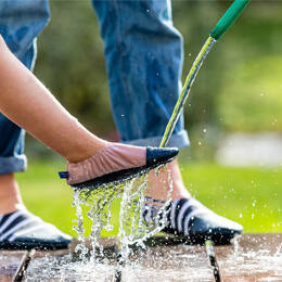 Les Petites Crevettes