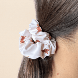 Les Petits Chouchous Teckels