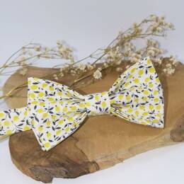 Nœud papillon homme en Liberty Ed Citron