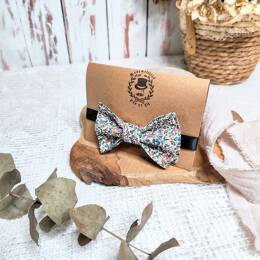 Nœud papillon enfant en Liberty Katie and Millie Bistre