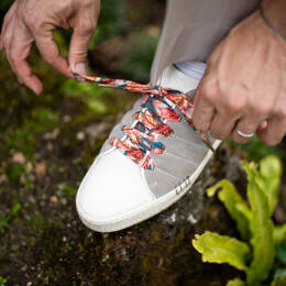 Lacets en Liberty Calypso homme 12 œillets