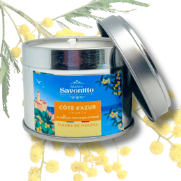 New ✨ Bougie Mimosa X Côte d'Azur France