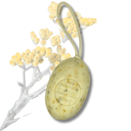 Savon Ovale Sur Corde Immortelle 200g