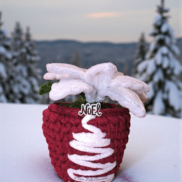 POINSETTIA ECLAT D'ARGENT