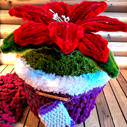 POINSETTIA VELVET GIVRÉ