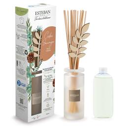 19.9€ / 100ml : Cèdre Sauvage Coffrets parfum mixte 100 ml unisex