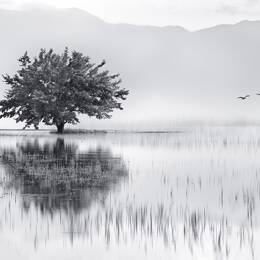 Tableau nature reflets d'eau toile imprimée 120x80 cm