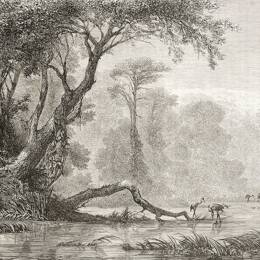 Tableau gravure les bords du fleuve imprimé sur toile 90x60 cm