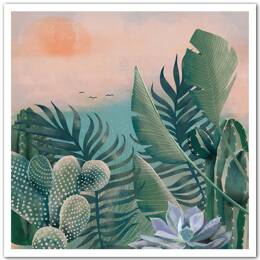 Affiche illustration jardin succulentes et cie sans cadre 30x30 cm