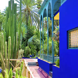 Tableau jardin majorelle imprimé sur toile 60x40 cm