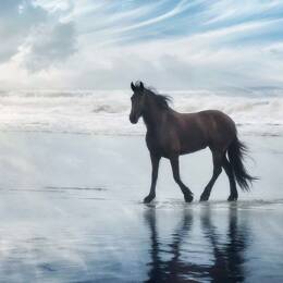 Les papiers peints enfant Made in France