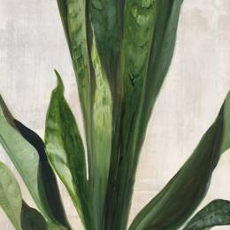 Tableau sanseveria aquarelle imprimé sur toile 80x120 cm