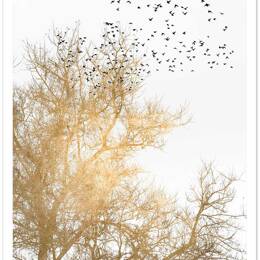 Affiche dessin ciel d'or sans cadre 20x30 cm