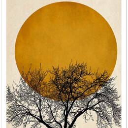 Affiche dessin arbre et sérénité sans cadre 20x30 cm