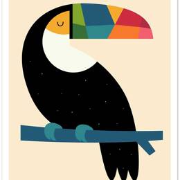 Affiche  toucan sans cadre 40x60 cm