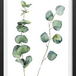 Affiche aquarelle feuille d' eucalyptus avec cadre noir 30x45 cm