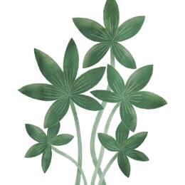 Stickers feuilles exotiques en vinyle mat vert, 50x65 cm