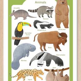 Affiche enfant animaux d'amérique  avec cadre bois 40x60 cm