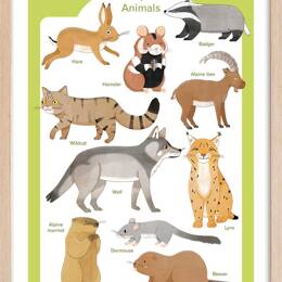 Affiche enfant animaux d'europe  avec cadre bois 40x60 cm
