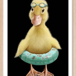 Affiche enfant bouée canard  avec cadre bois 40x60 cm