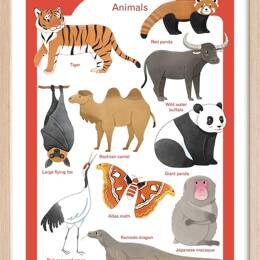Affiche enfant animaux d' asie  avec cadre bois 40x60 cm